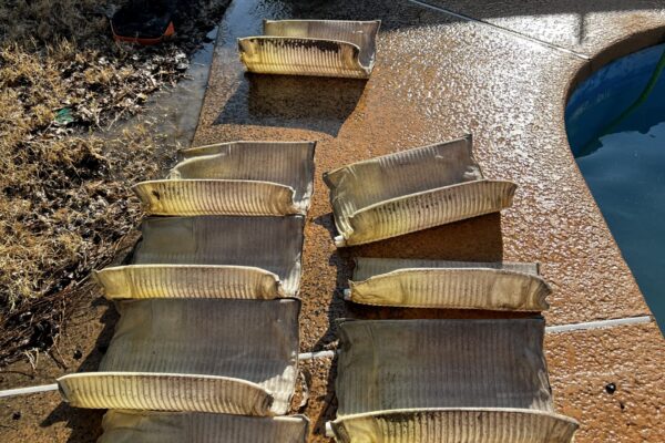 mscompeltepools filter cleaning 1