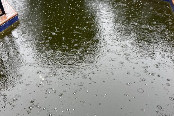 mscomplete pool cleaning coppell 1