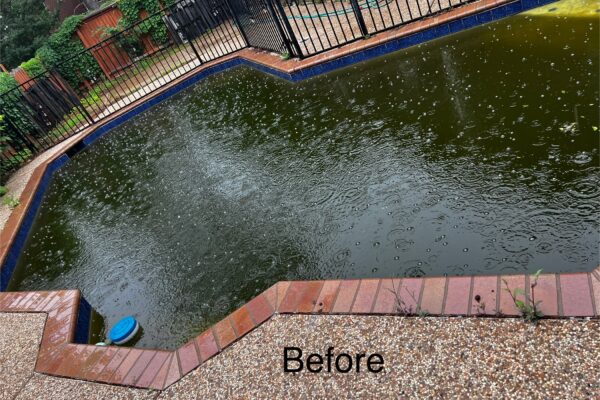 mscomplete pool cleaning coppell