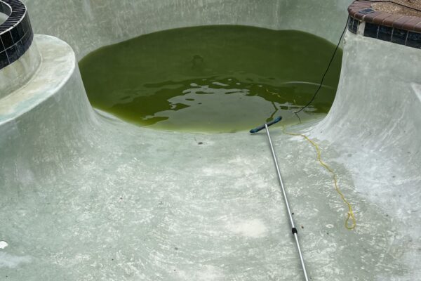 mscompletepools pool cleaning dallas 3