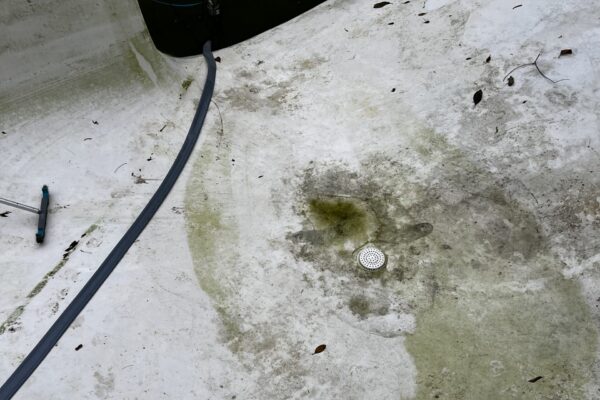 mscompletepools pool cleaning denver rowlett 2