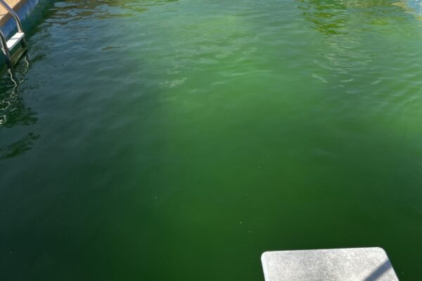 mscompletepools pool cleaning mckinney 2