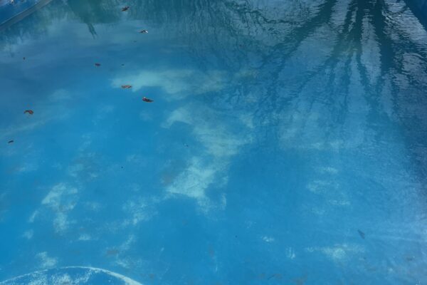 mscompletepools pool cleaning mckinney 6