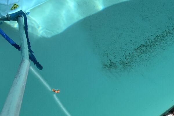 mscompletepools ultra filtration 2