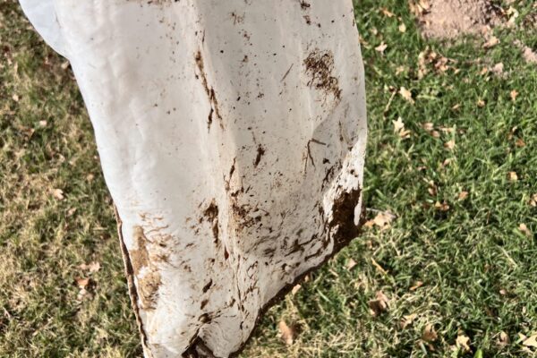 mscompletepools ultra filtration