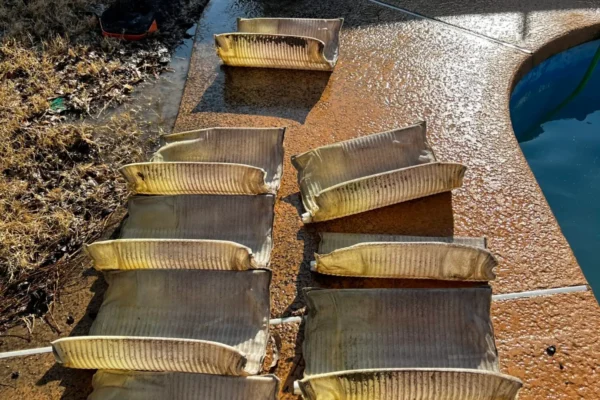 mscompeltepools filter cleaning 1