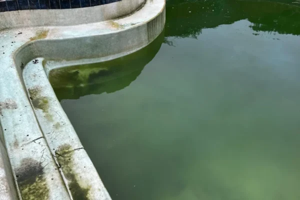 mscompletepools pool cleaning dallas