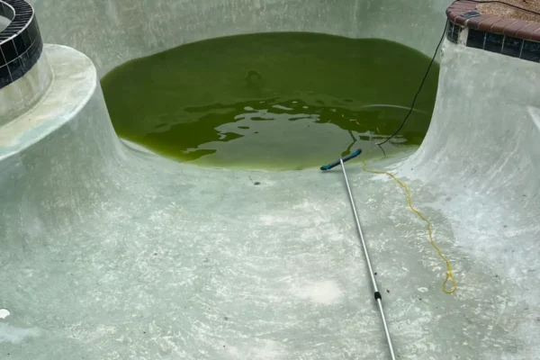 mscompletepools pool cleaning dallas 3